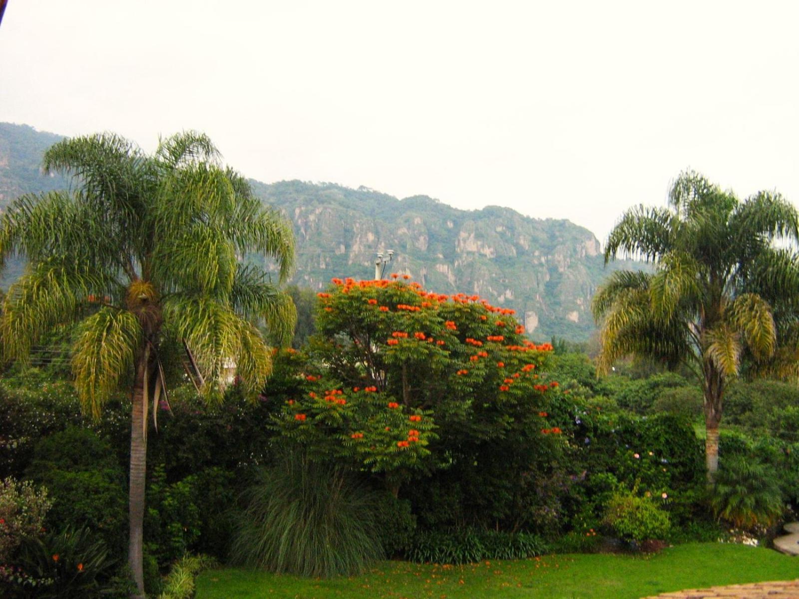 Hotel Arete (Adults Only) Tepoztlán Exterior foto